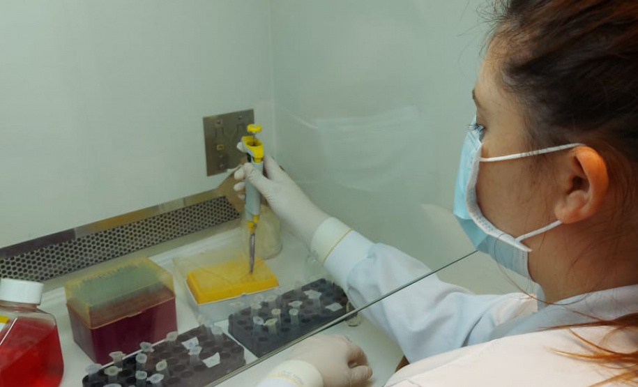 Universidades estaduais iniciam processo para fazer exames do coronavírus.
Foto: Divulgação/Fundção Araucária