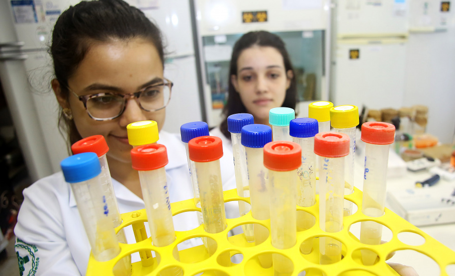 Foto: Jaelson Lucas/AEN