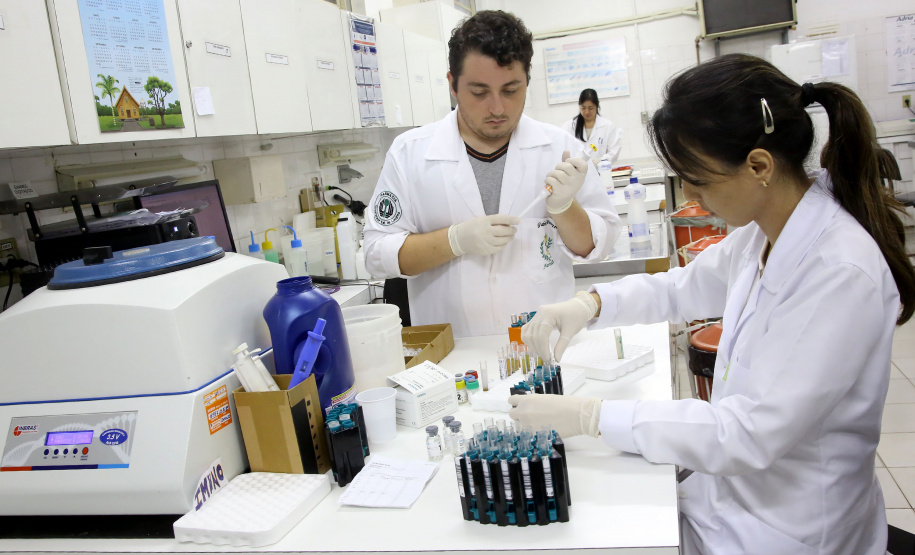 Foto: Jaelson Lucas/AEN