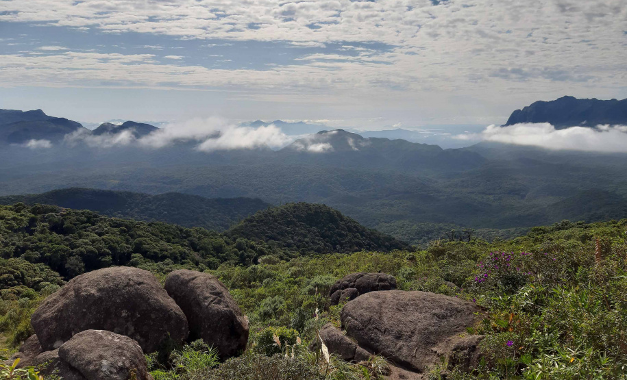 Parques do Estado continuam fechados para visitação. Foto: IAT