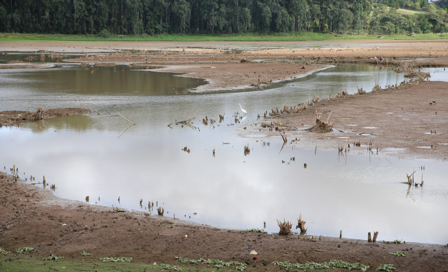Levantamento do Simepar apontou que nove cidades, de quase todas as regiões do Estado, tiveram chuvas bem abaixo da média histórica entre os meses de junho de 2019 a março de 2020. Redução média na precipitação foi de 33% nos municípios pesquisados.08/04/2020 - Foto: Geraldo Bubniak/AEN