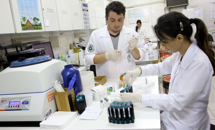 UEL lidera estudos científicos sobre coronavírus no Brasil
. Foto: UEL