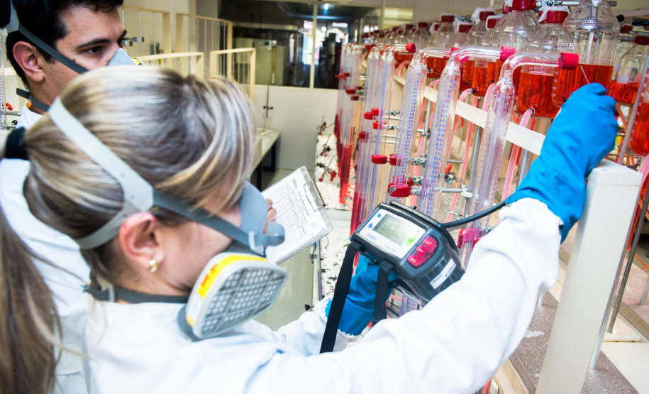 Governo firma parceria para fortalecer cadeia produtiva de biogás no Paraná. Foto: Marcos Labanca/Cibiogás