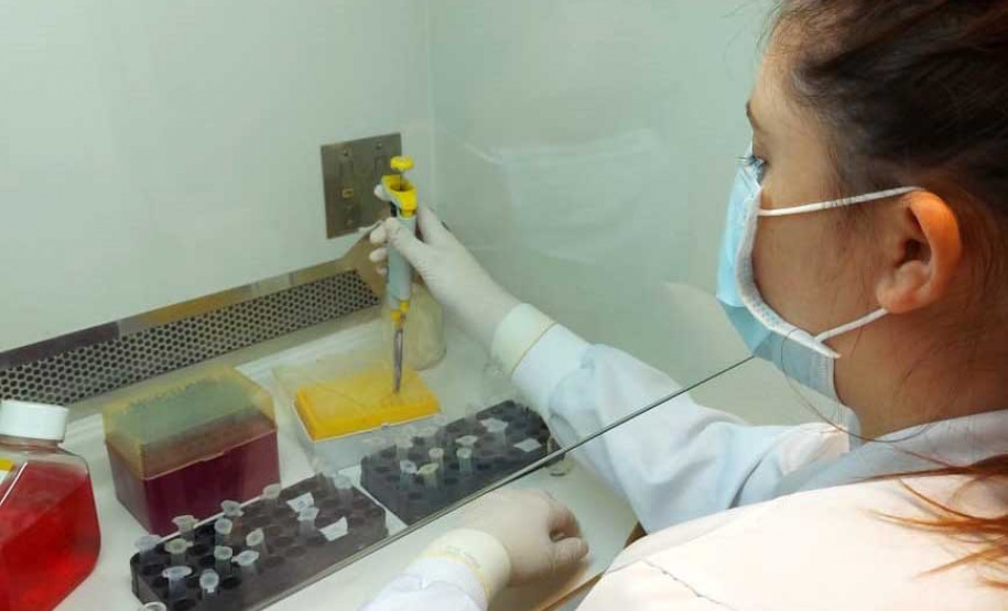 Fundação Araucária participa de chamada pública do CNPq. Foto: Fundação Araucária