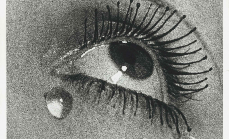 No Dia Mundial da Arte, comemorado em 15 de abril, o Museu Oscar Niemeyer (MON), em Curitiba, inaugura mais duas exposições virtuais na plataforma Google Arts & Culture