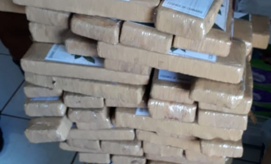 Segurança Pública tira 143,6 toneladas de drogas de circulação no Paraná em 2019. Foto:SESP