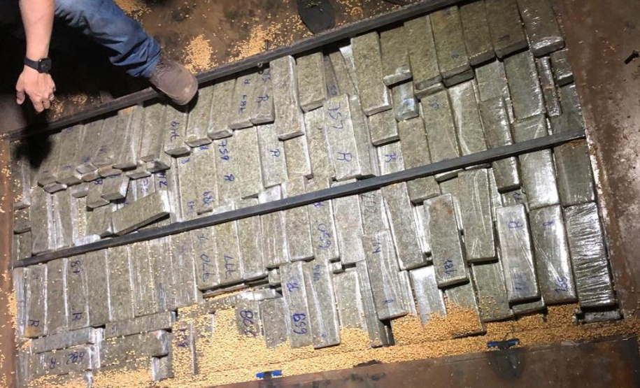 Segurança Pública tira 143,6 toneladas de drogas de circulação no Paraná em 2019. Foto:SESP