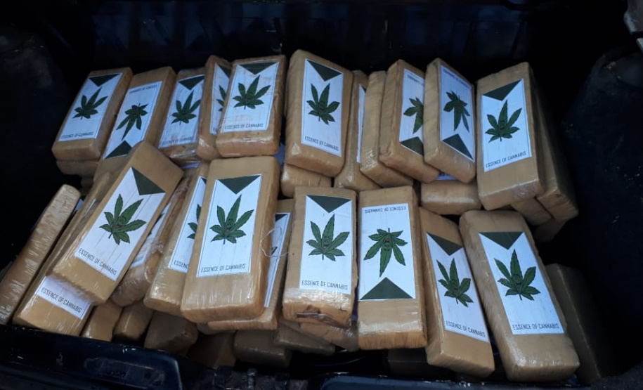 Segurança Pública tira 143,6 toneladas de drogas de circulação no Paraná em 2019. Foto:SESP