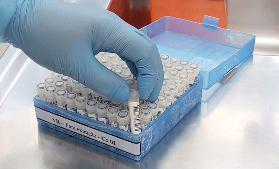 Vigilância Sentinela é instrumento fundamental na localização e contenção de vírus no Paraná
. Foto:SESA