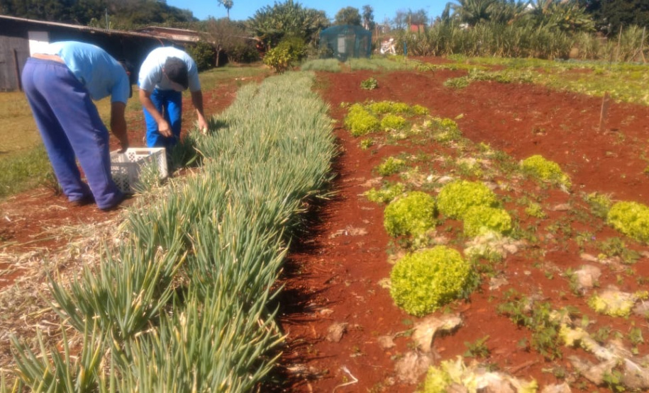 Parceria garante doação de pães e kits de hortaliças em Cascavel. Foto: Depen
