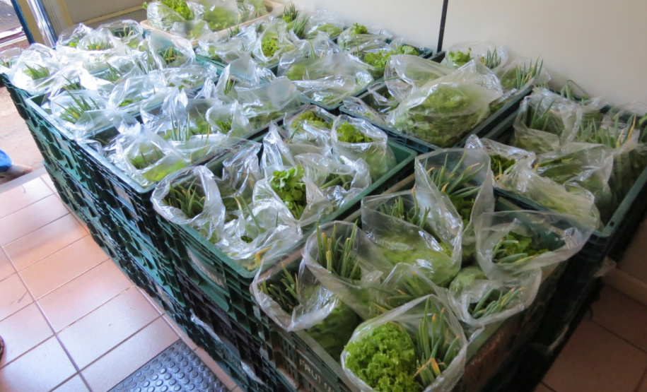 Parceria garante doação de pães e kits de hortaliças em Cascavel. Foto: Depen
