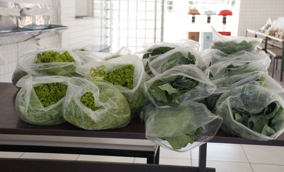 Escolas estaduais iniciam terceira entrega de kits merenda. Foto:SEED