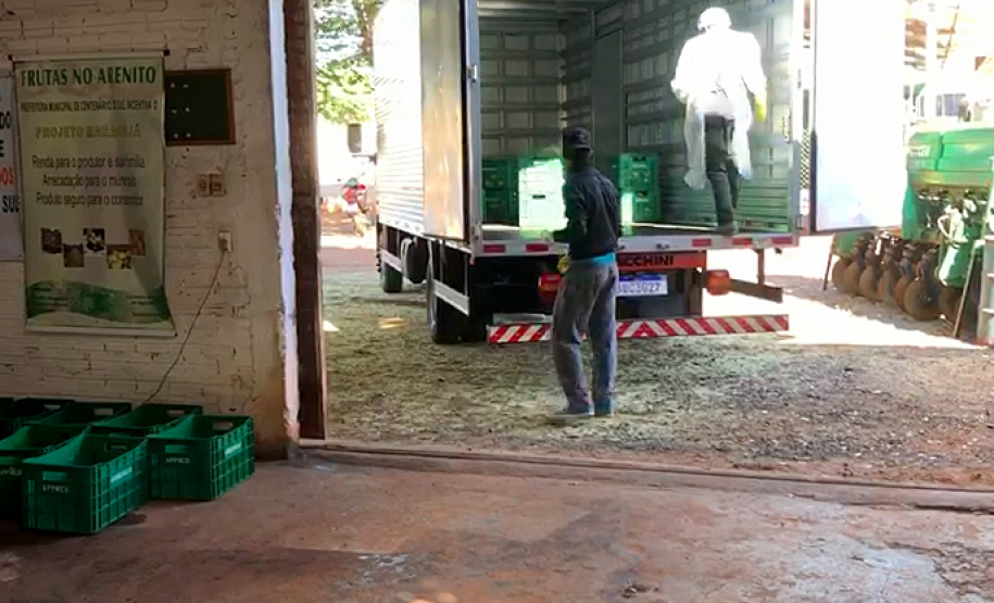 Muitos agricultores mudaram os hábitos de trabalho no campo devido à pandemia do coronavírus e passaram a adotar medidas adicionais de segurança. Um dos locais em que isso aconteceu é Centenário do Sul, no norte do Paraná, onde se estabeleceu uma parceria entre a Associação dos Pequenos Produtores de Centenário do Sul, a prefeitura e técnicos do Instituto de Desenvolvimento Rural do Paraná Iapar-Emater (IDR-Paraná).
Foto:SEAB