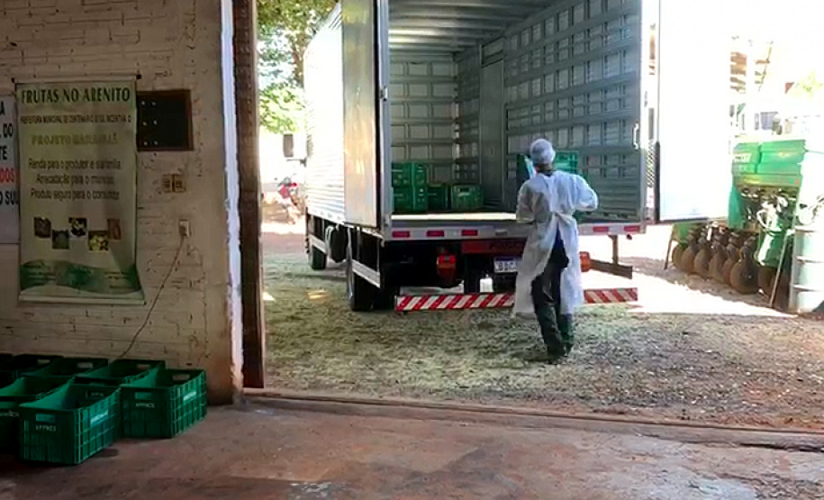 Muitos agricultores mudaram os hábitos de trabalho no campo devido à pandemia do coronavírus e passaram a adotar medidas adicionais de segurança. Um dos locais em que isso aconteceu é Centenário do Sul, no norte do Paraná, onde se estabeleceu uma parceria entre a Associação dos Pequenos Produtores de Centenário do Sul, a prefeitura e técnicos do Instituto de Desenvolvimento Rural do Paraná Iapar-Emater (IDR-Paraná).
Foto:SEAB