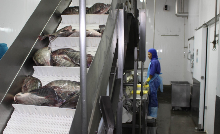 Descomplica Rural é adaptado para continuidade dos licenciamentos ambientais.  Foto: Arnaldo Alves/Arquivo. AEN