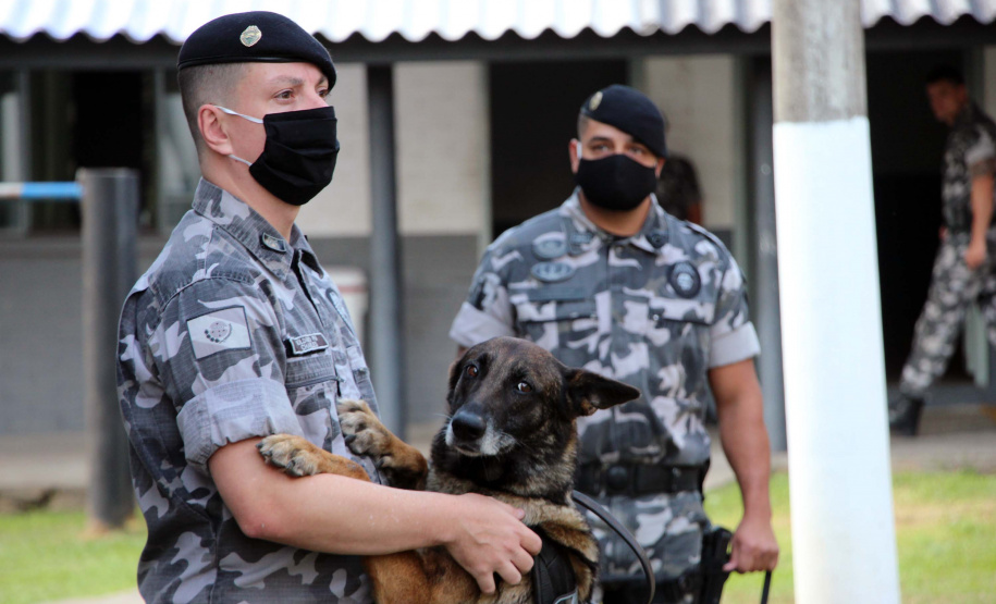Lótus, Kira e Loba viveram uma grande história na Companhia de Operações com Cães (COC) do Batalhão de Operações Especiais (BOPE) ao longo de quase 9 anos de atividade