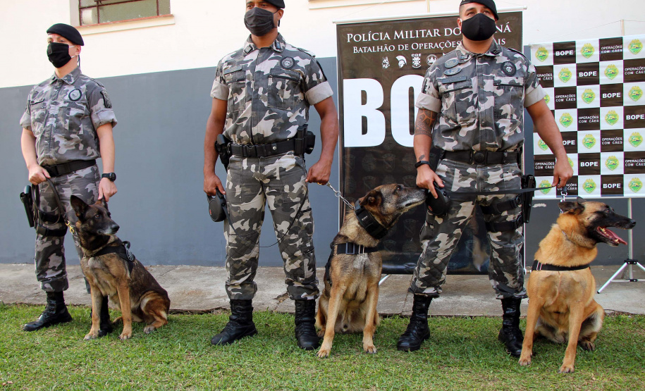 Lótus, Kira e Loba viveram uma grande história na Companhia de Operações com Cães (COC) do Batalhão de Operações Especiais (BOPE) ao longo de quase 9 anos de atividade