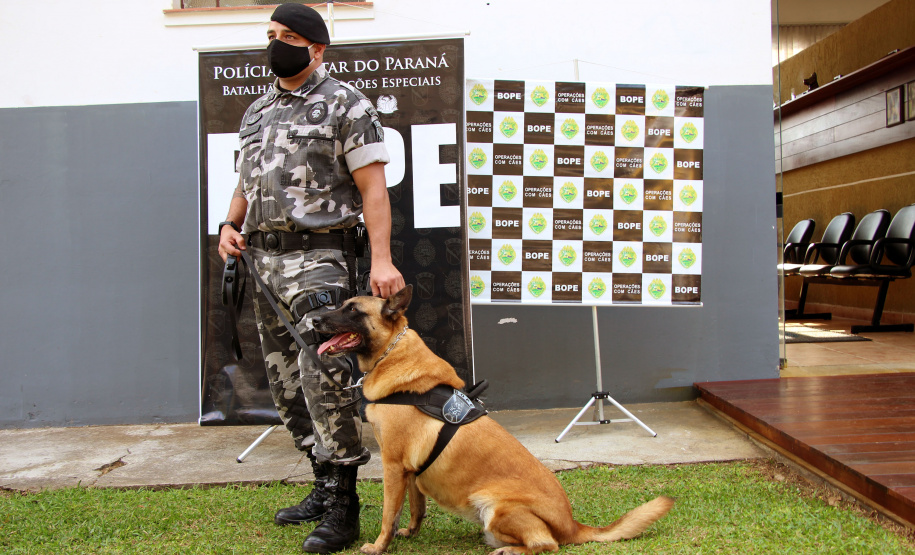 Lótus, Kira e Loba viveram uma grande história na Companhia de Operações com Cães (COC) do Batalhão de Operações Especiais (BOPE) ao longo de quase 9 anos de atividade