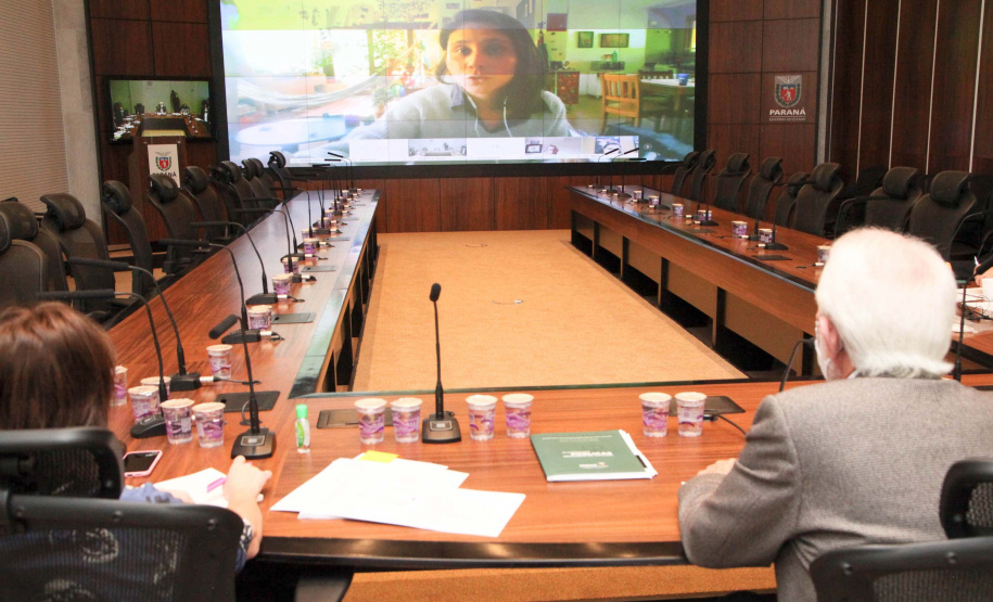 O Governo do Estado prepara para os próximos dias o lançamento de um grande pacote de incentivo à cultura paranaense. O anúncio foi feito nesta segunda-feira (04) pelo vice-governador Darci Piana e pela superintendente da Cultura, Luciana Casagrande, em reunião por videoconferência com diversos representantes do setor no Paraná.
 Foto: Ari Dias/AEN