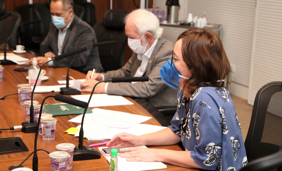 O Governo do Estado prepara para os próximos dias o lançamento de um grande pacote de incentivo à cultura paranaense. O anúncio foi feito nesta segunda-feira (04) pelo vice-governador Darci Piana e pela superintendente da Cultura, Luciana Casagrande, em reunião por videoconferência com diversos representantes do setor no Paraná.
 Foto: Ari Dias/AEN