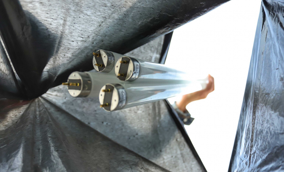 Lâmpadas fluorescentes usadas serão recolhidas em todo Paraná