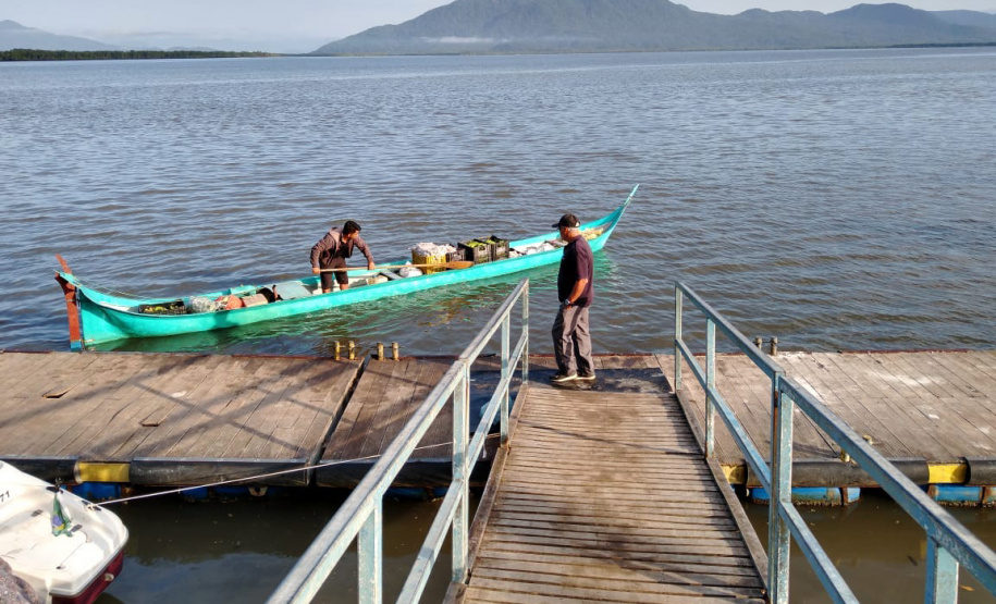 Agricultores familiares levam alimentos às ilhas do Paraná. Foto:SEAB