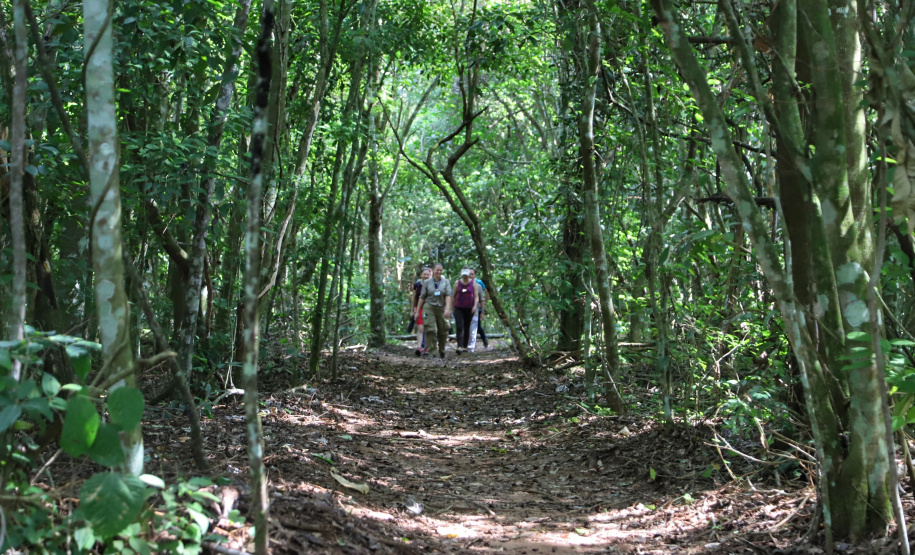 Municípios recebem atendimento virtual sobre o ICMS Ecológico. Foto: José Fernando Ogura/AEN