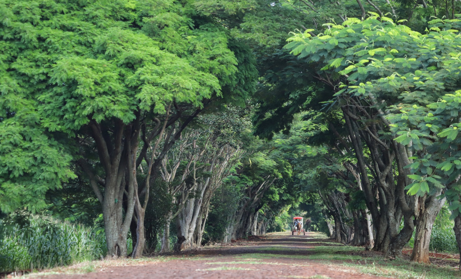Municípios recebem atendimento virtual sobre o ICMS Ecológico. Foto: José Fernando Ogura/AEN