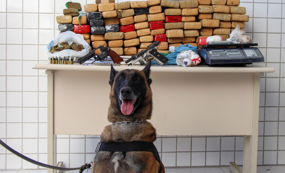 Uma grande operação da Polícia Militar, coordenada pelo 6° Comando Regional da PM (6° CRPM), foi deflagrada na manhã desta quinta-feira  (07/05) para cumprir 12 mandados de Busca e Apreensão contra o tráfico de drogas. Ao todo, seis pessoas foram presas, e 1,5kg de crack, 77 quilos de maconha e duas armas de fogo apreendidos no Litoral do estado.