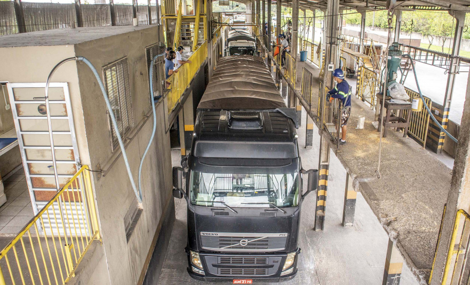 Porto de Paranaguá bate recorde em movimento de caminhões
. Foto: Claudio Neves/Portos do Paraná