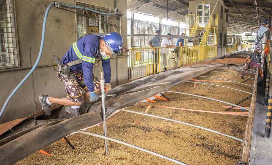 Porto de Paranaguá bate recorde em movimento de caminhões
. Foto: Claudio Neves/Portos do Paraná