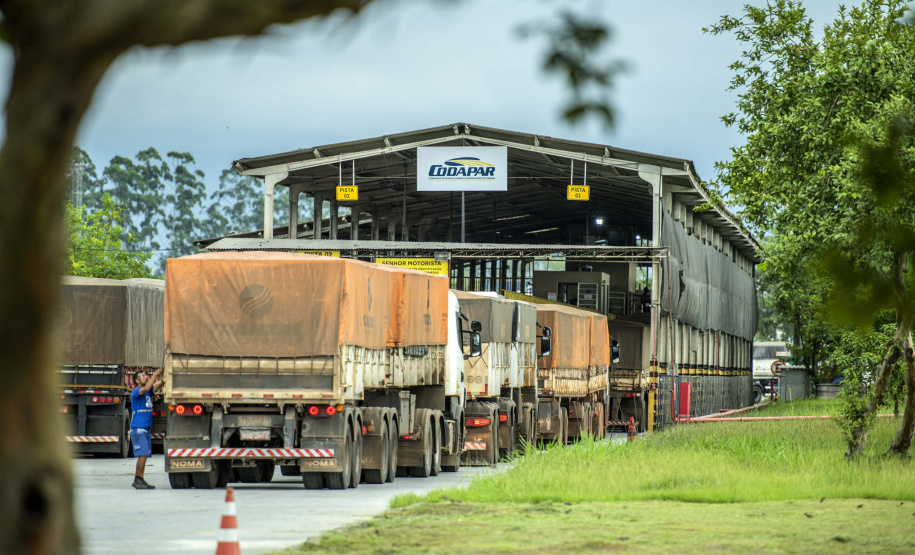 Porto de Paranaguá bate recorde em movimento de caminhões
. Foto: Claudio Neves/Portos do Paraná