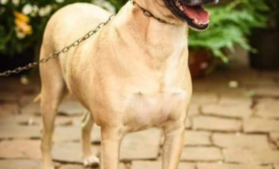 Foto: ADAC Chopinzinho