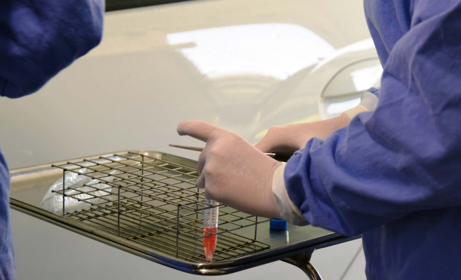 Hospital Oswaldo Cruz inicia teste de pessoal da saúde e da segurança. Foto: Antonio Américo/SESA