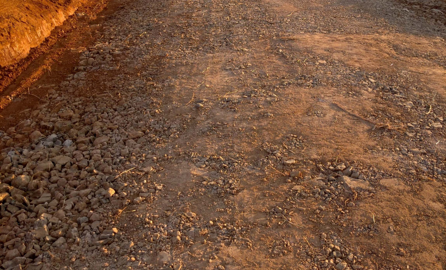 Dia Internacional da Enfermagem mostra protagonismo dos profissionais.Foto: SEAB