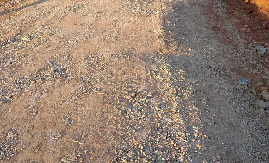 Dia Internacional da Enfermagem mostra protagonismo dos profissionais. Foto: SEAB