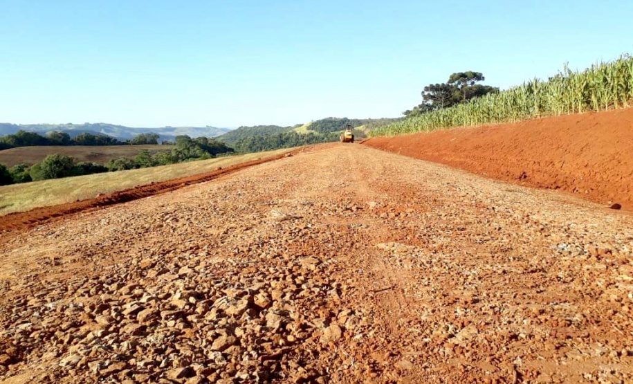 Dia Internacional da Enfermagem mostra protagonismo dos profissionais. Foto: SEAB