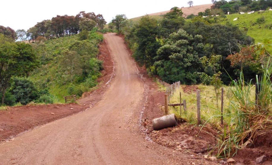 Dia Internacional da Enfermagem mostra protagonismo dos profissionais.Foto: SEAB
