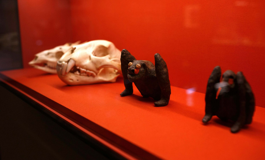 Museu Paranaense apresenta curiosidades de seu acervo.Foto: Mariana Alves