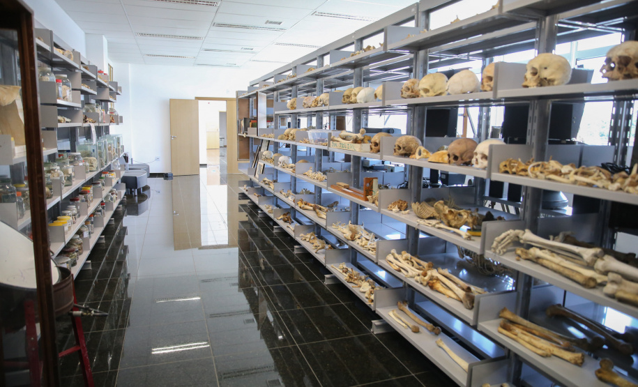 Acervo do Museu de Ciências Forenses inclui peças incomuns.Foto: Geraldo Bubniak/AEN