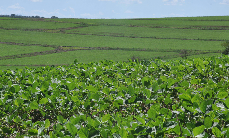 Paraná estuda criar centro de inteligência artificial em Agro. Foto:UEL
