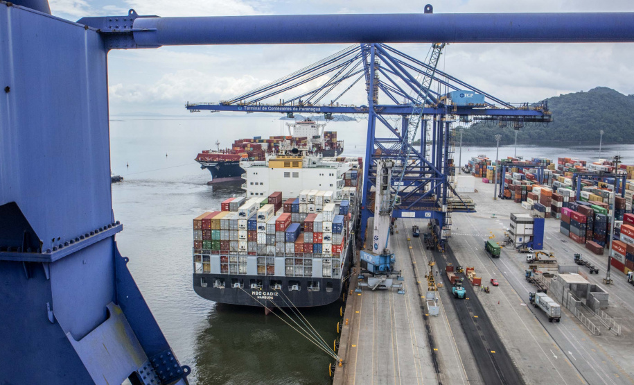 Exportação de algodão cresce 3.098% nos portos do Paraná.