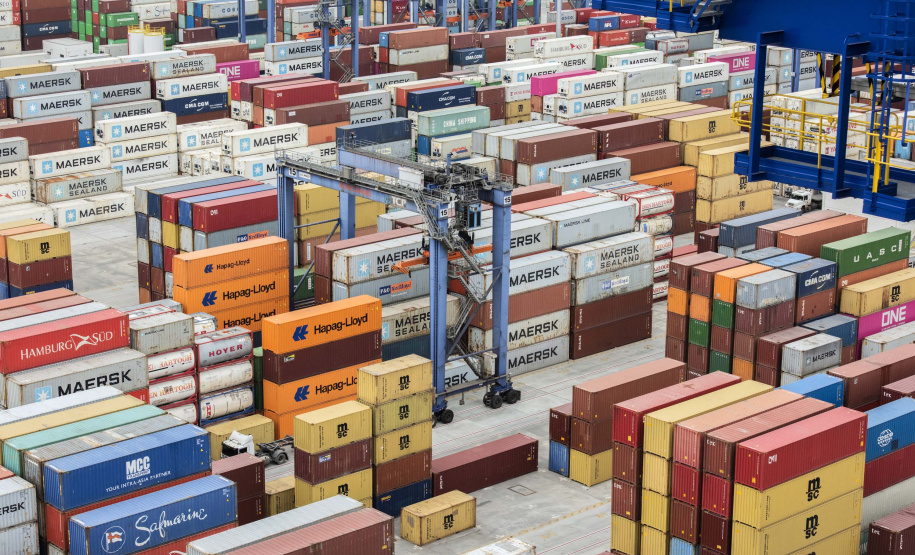 Exportação de algodão cresce 3.098% nos portos do Paraná.