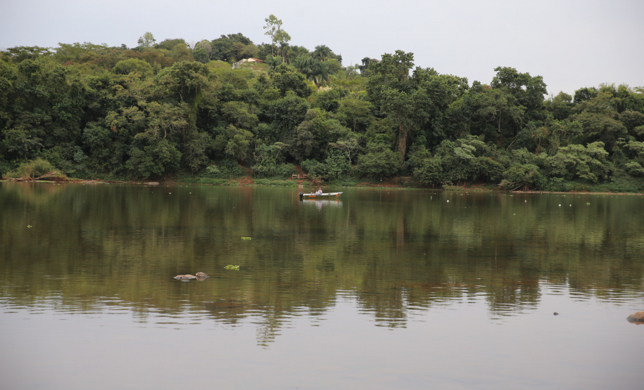 A iniciativa visa proteger as espécies de peixes, em especial as existentes nos corpos hídricos afetados pela seca. O retorno será permitido quando os rios atingirem a cota hídrica para dispersão de cardumes e navegabilidade.
Foto: Geraldo Bubniak/AEN