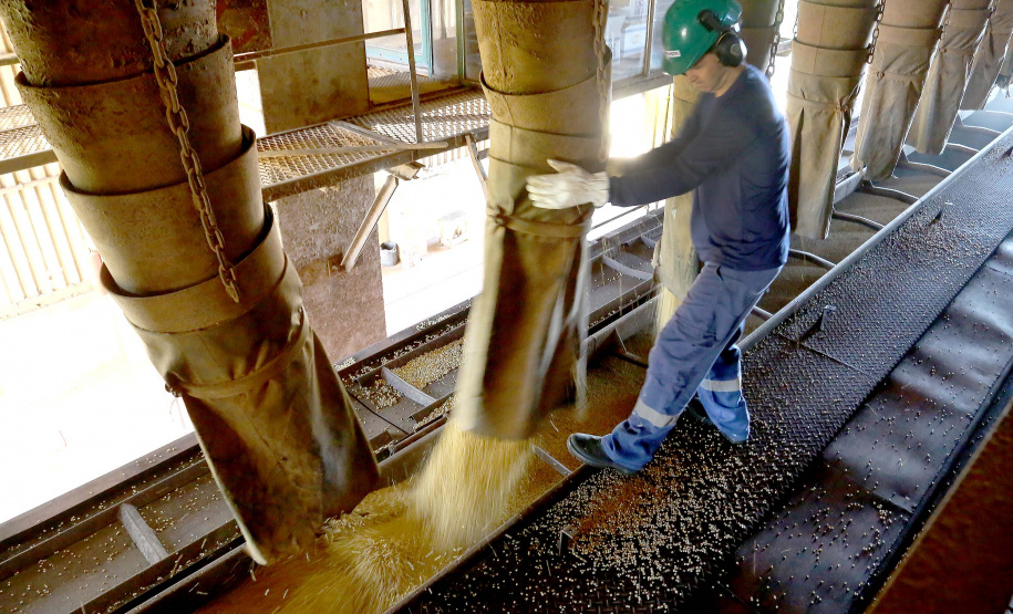 Paraná é o estado do Sul que menos perdeu postos de trabalho. Foto: Jaelson Lucas/AEN