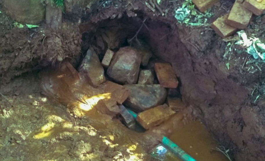 Proteção de nascentes contribui para a conservação da água. Foto:IDR Paraná