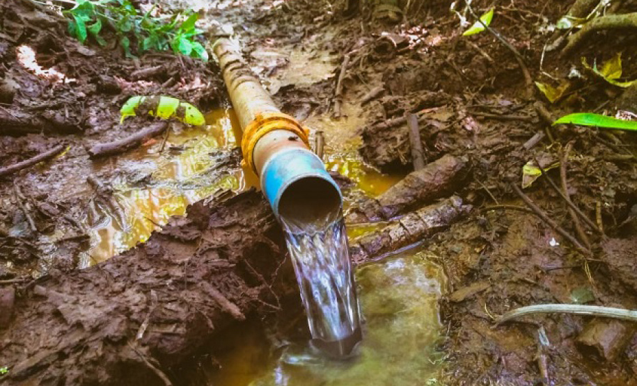 Proteção de nascentes contribui para a conservação da água. Foto:IDR Paraná