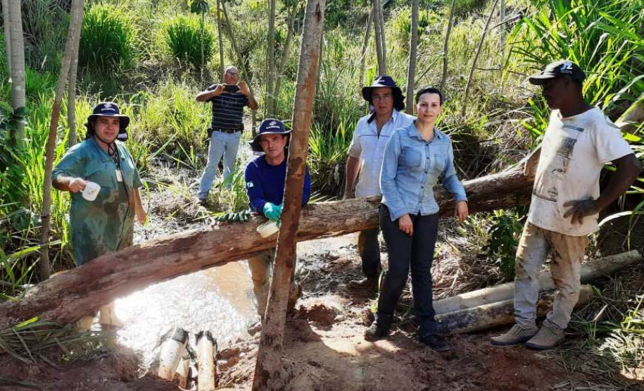 Recuperação de nascentes em Paranavaí é destaque em evento ambiental. Foto: Sanepar