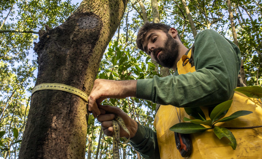 Empresa Portos do Paraná reforça compromisso com os ODS