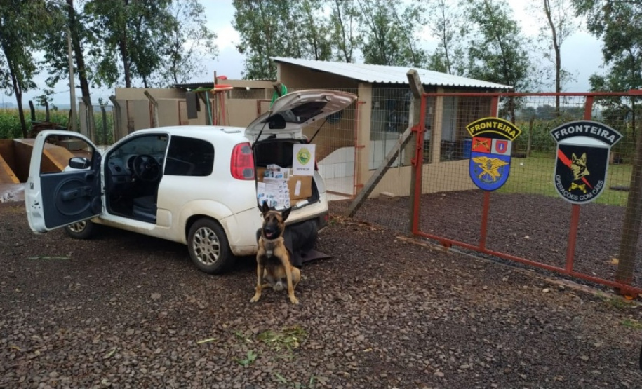 BPFron completa oito anos de atuação com mais de 66 toneladas de drogas apreendidas. Foto:SESP